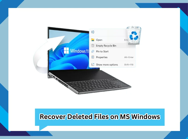 Recover Deleted Files on MS Windows: Download Data With Free Edition